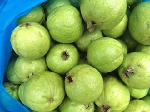 đặc sản mùa thu Hà Nội