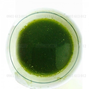 Bột lá nếp lá dứa